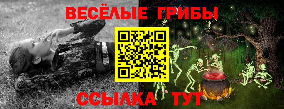 Реж  Галлюциногенные грибы мухоморы  Вход с VPN 