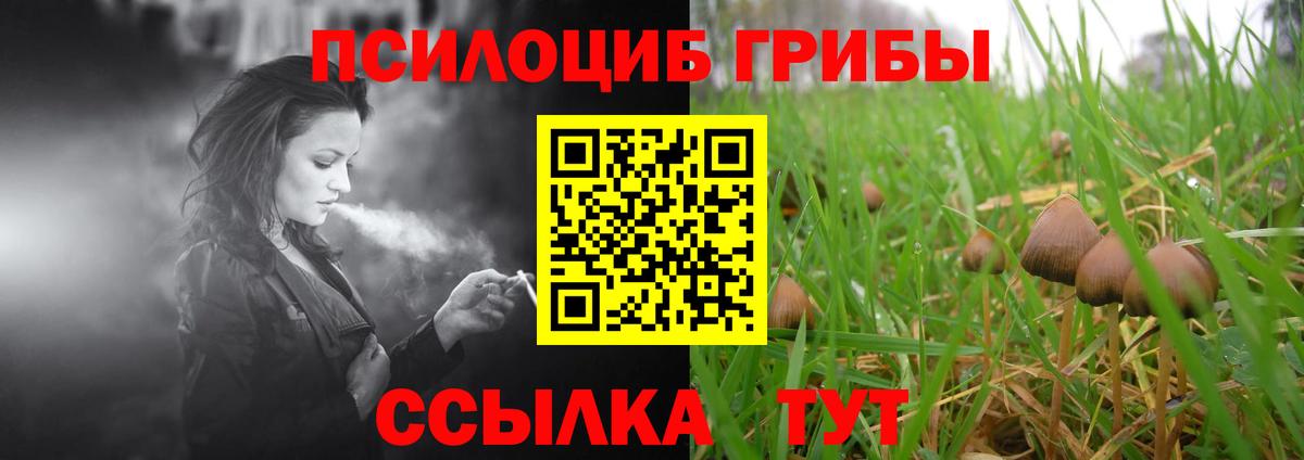 Галлюциногенные грибы Cubensis Реж